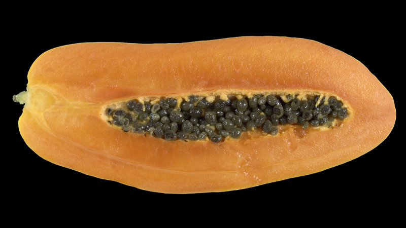 Cross Section of a Papaya Fruit