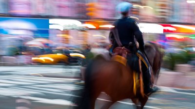 NYPD on Horseback