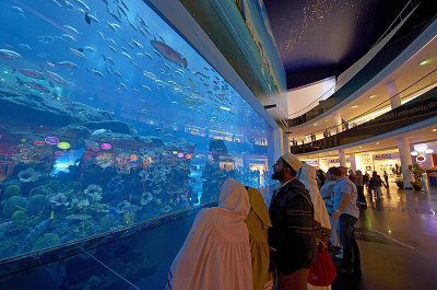 Aquarium in Dubai Mall