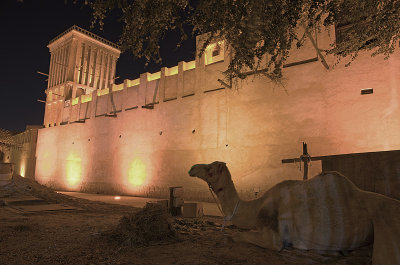 Museum at Bur Dubai