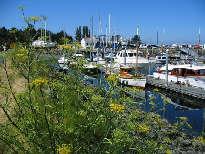 Port of Port Townsend