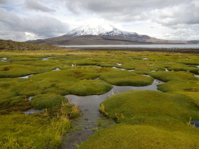 Lauca National Park