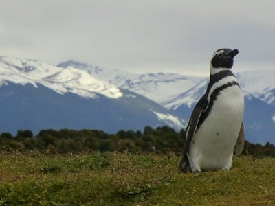 Patagonia and Tierra del Fuego 2010
