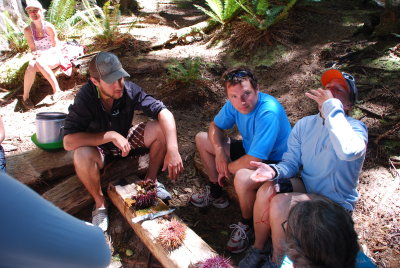 We try tasting the local wildlife -- sea anemone -- raw.