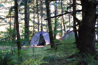 Around a campsite