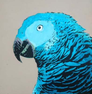 Parrot Blue