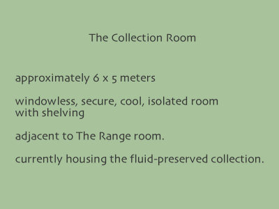 collections room