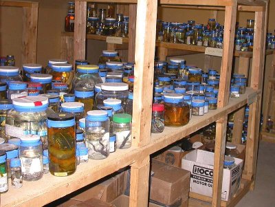 fluid preserved collection