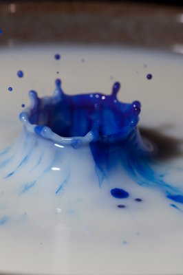 g1/40/347640/3/116781887.h5DlprsC.jpg