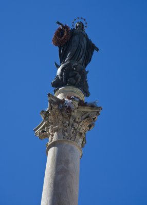 Colonna dell'Immacolata