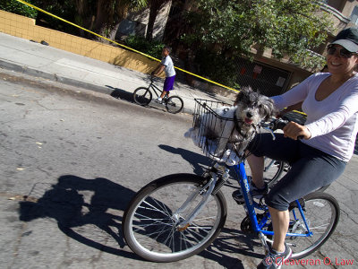 CicLAvia_4742_20101010.jpg