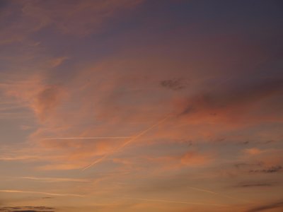 Pink Clouds