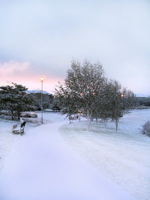 Winter Snow Scene