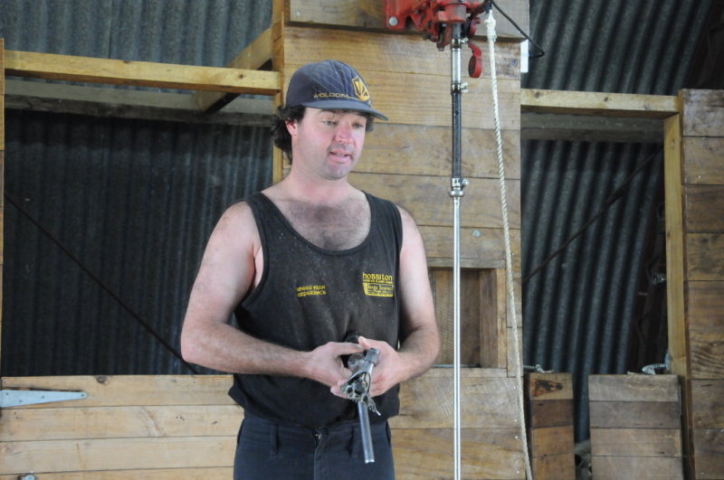 Part of the tour was a sheep shearing demo