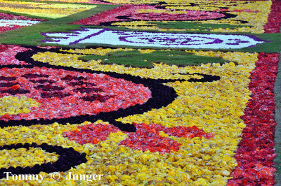 Flowers Carpet