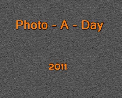 Photo A Day 2011