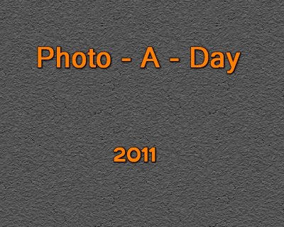 Photo A Day 2011