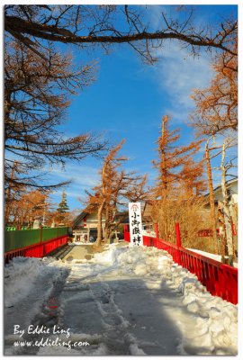 Mt Fuji station no. 5 (2300M)