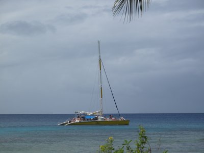IMG_0239.JPG