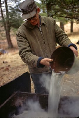 Noel pouring sap in his woods
