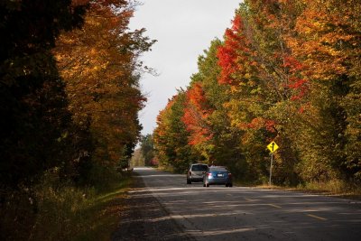 Grey's Creek Road Looking North 2009