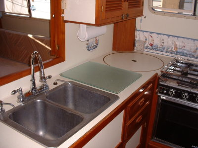 Original sink and countertop