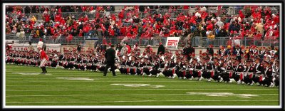 Marching Band at halftime