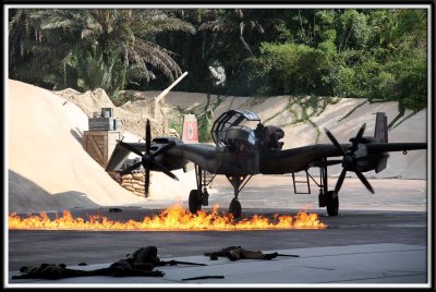 The Indiana Jones stunt plane