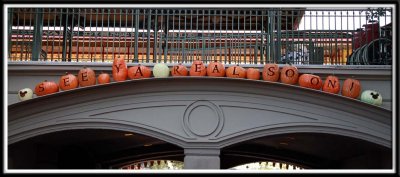 The carved pumpkins at the exit gates