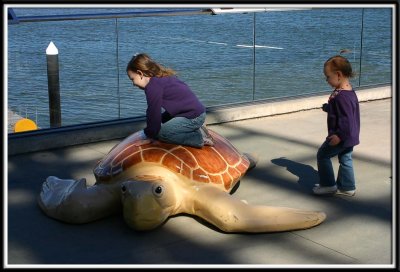 Climbing on Crush the Turtle