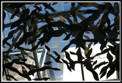 Ceiling art, made to look like schools of fish