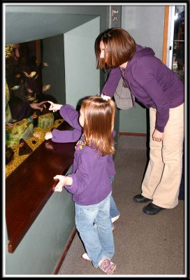 Look! Fishy!