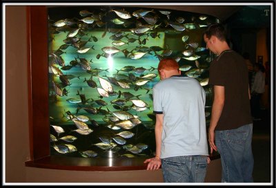 Jamie and Brett head banging on the fish tank