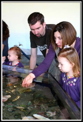 The touch tank
