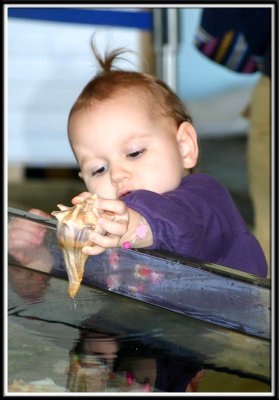 Kylie finds a pretty shell