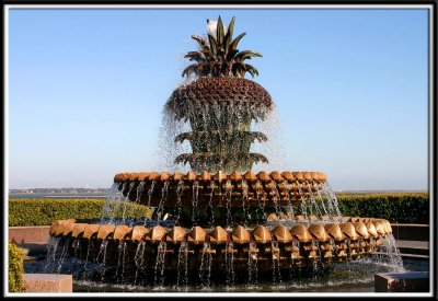 Pineapple fountain