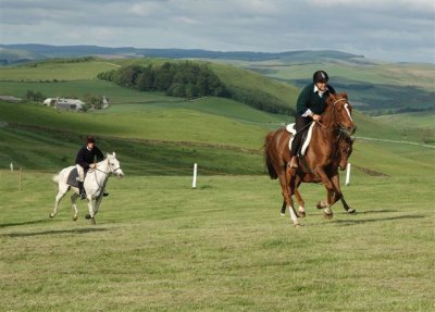 Dsc_005617844.jpg.1.jpg