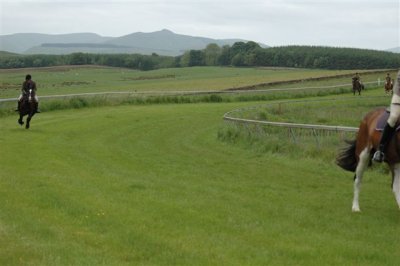 DSC_016918015.JPG