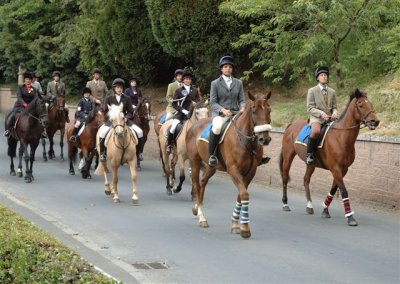 Dsc_008619448.jpg.1.jpg