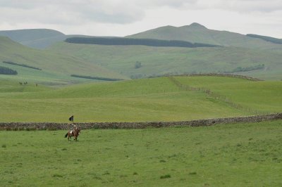DSC_0185.jpg