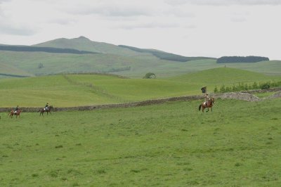 DSC_0190.jpg