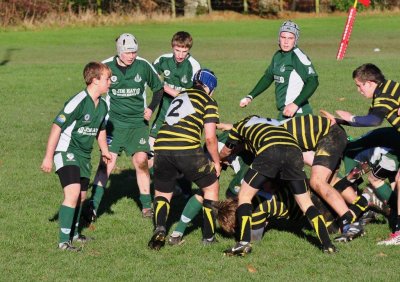 Hawick Wanderers 5 v Melrose Wasps 34 - November 13th 2010