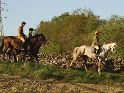 Dsc_31563112.jpg.2.jpg