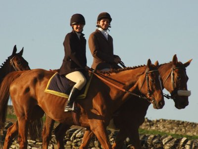 Dsc_31643120.jpg.2.jpg