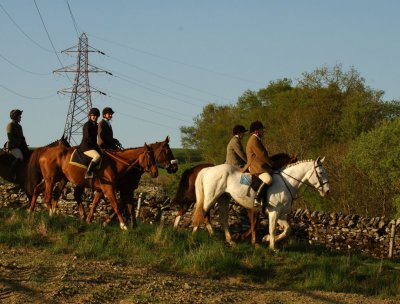 Dsc_31663122.jpg.2.jpg