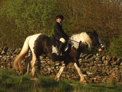 Dsc_31683124.jpg.2.jpg