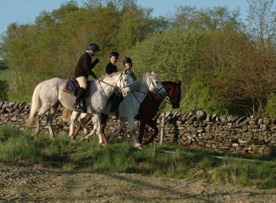 Dsc_31913147.jpg.2.jpg