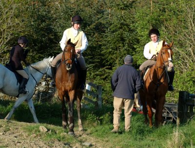 Dsc_31983154.jpg.2.jpg