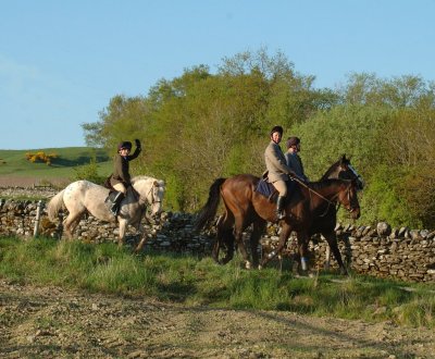 Dsc_32063162.jpg.2.jpg