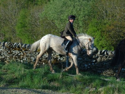 Dsc_32083164.jpg.2.jpg